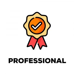 Professional Plan